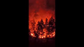 Massive wildfires ravage over 100 hectares in North Sumatra, Indonesia