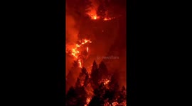 Great fires hit forests in Indonesia covering more than 100 hectares