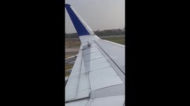 Daring birds attempt to hitch a ride on plane's wing right before takeoff