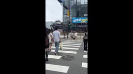 Baby reindeer charges through pedestrians crossing road