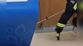 Firemen catch snake that slithered into hospital in China
