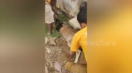 Social organisation saved a cow got badly trapped in big drain in Northern India