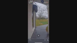Noise inspection of a wall leads to a squirrel jumping out of the gutter gap