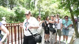 Behind China's growing appeal to international travelers