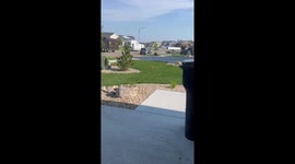 Lawn Sprinklers Offer Postal Worker Heat Relief