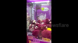 China: Hilarious Claw Machine Fail Caught on Camera