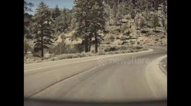 Tesla Camera Captures Apparent Hit and Run