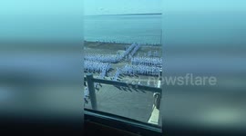 USA: Navy Captain Shares Emotional Video of Sailors' Return from Combat Deployment