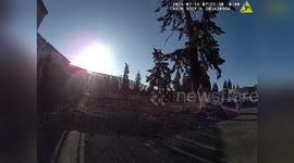USA: Police Chase Fast Wallaby on the Streets of Parkland, Washington