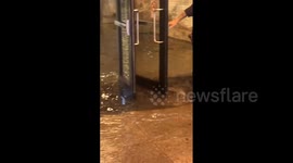 Canada: Major Flooding Hits Toronto Area Amid Intense Storm