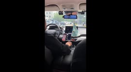 Chinese taxi driver takes pet parrot to work, delighting passengers