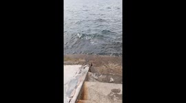 Nasipit resident's comical water bending attempt goes awry