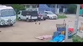A four-year-old boy narrowly escaped an attack by a group of stray dogs,father’s quick intervention in South India