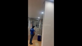 Rescue of chubby cat stuck on gate in Singapore