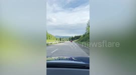 Dog lovers take pet dogs on 1,700 mile European road trip six countries in 12 days