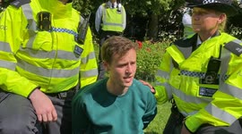 Police arrest pro-Palestine Youth Demand protesters ahead of State Opening of Parliament in London