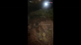 Lost shoe leads to a cactus catastrophe and lots of laughs