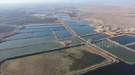 China: Populus Euphratica River National Wetland Park in Xinjiang