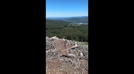 Hapless campers watch their tent blow away into distance