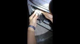 Kitten rescued after being found trapped inside fridge