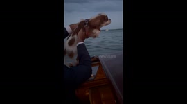 Adorable puppy paddles to TikTok stardom garnering 4 million views