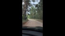 New Car Caught In Hailstorm