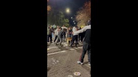 Bros Cheer As Pups Steal the Show