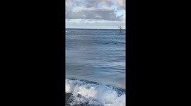 Shark sighting sends beachgoers fleeing in Las Palmas