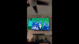 Cat's curiosity leads to TV perch mishap