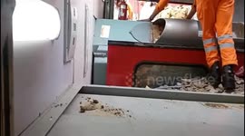 Gonda Train Tragedy: NDRF, SDRF Steps In To Expedite Rescue Operations