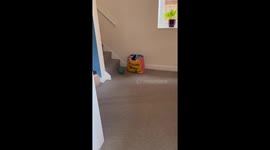 Adorable playtime: Elder brother treats the baby sister like his favorite toy