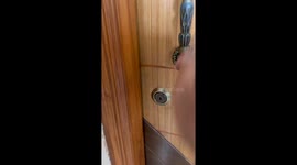 My dogs reaction when I caught him eating cookies from the table