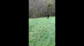 Boy's hilarious escape from an angry goose after getting too close