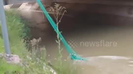 Heroic bystanders save woman swept away in canal in northern China