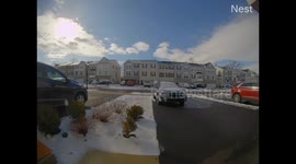 Man Hilariously Slips On Ice While Walking His Golden Retriever Dog