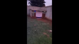 The Royal Canine Sleepover