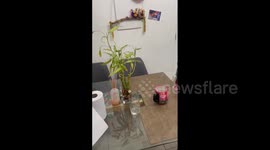 Chile: 7.4 Magnitude Temblor Strikes Antofagasta