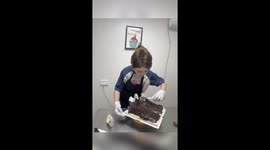 Chinese cake artist creates jaw-dropping realistic miniature landscape cakes