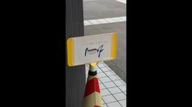 Harmony in Urban Japan: A Swallow’s Sanctuary