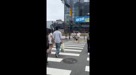 Wild Korean deer startles Seoul pedestrians in unusual urban encounter