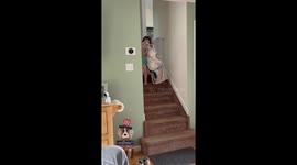 Adorable kid happily joins her beloved doggo in its cage