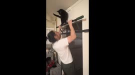 Personal trainer cat delays pull-up finish in hilarious video