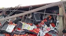 India: Tomato truck overturns in central India, leading to mass looting amid skyrocketing prices