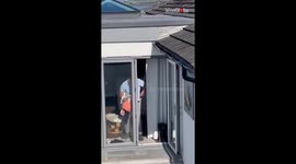 Man struggles to remove a seagull that constantly invades his home