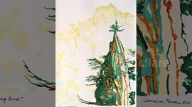 Australian artist highlights role of cultural exchanges in deepening China-Australia ties