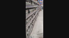 Pinturas de ferreterías dedicadas a pintar interior y exterior de viviendas y departamentos