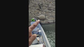 TikToker spots fossil on Colombian cliff, video goes viral