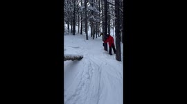 snowboarder rides on tree, falls and breaks rib on fallen tree