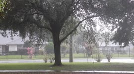 Intense Thunderstorm in Jacksonville