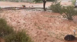 US: Strong Line Of Thunderstorms Brings Heavy Rains With Hail To Central New Mexico
